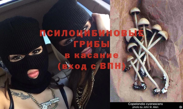 дурь Абинск