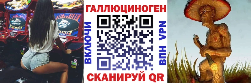 blacksprut рабочий сайт  Искитим  Псилоцибиновые грибы Psilocybe 