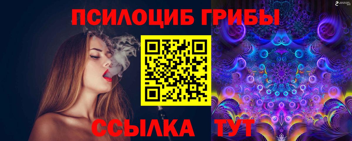 Искитим  Псилоцибиновые грибы ЛСД  Вход с VPN  Галлюциногенные грибы мицелий 